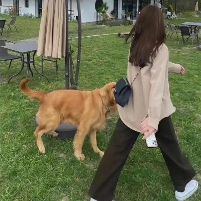 绮梦痕